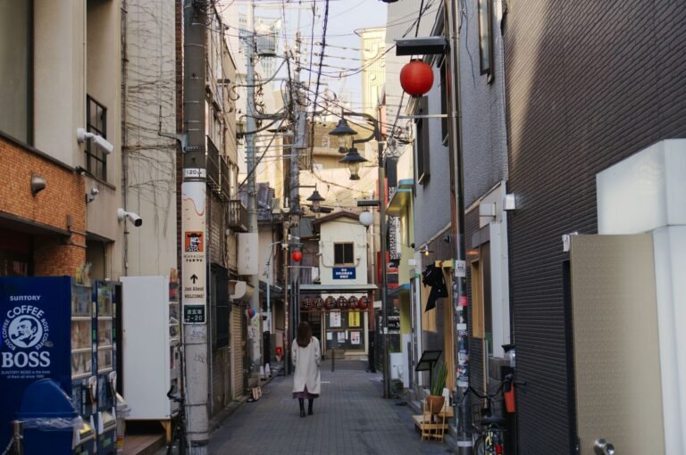 Japans demografischer Wandel: Schrumpfen auf Raten