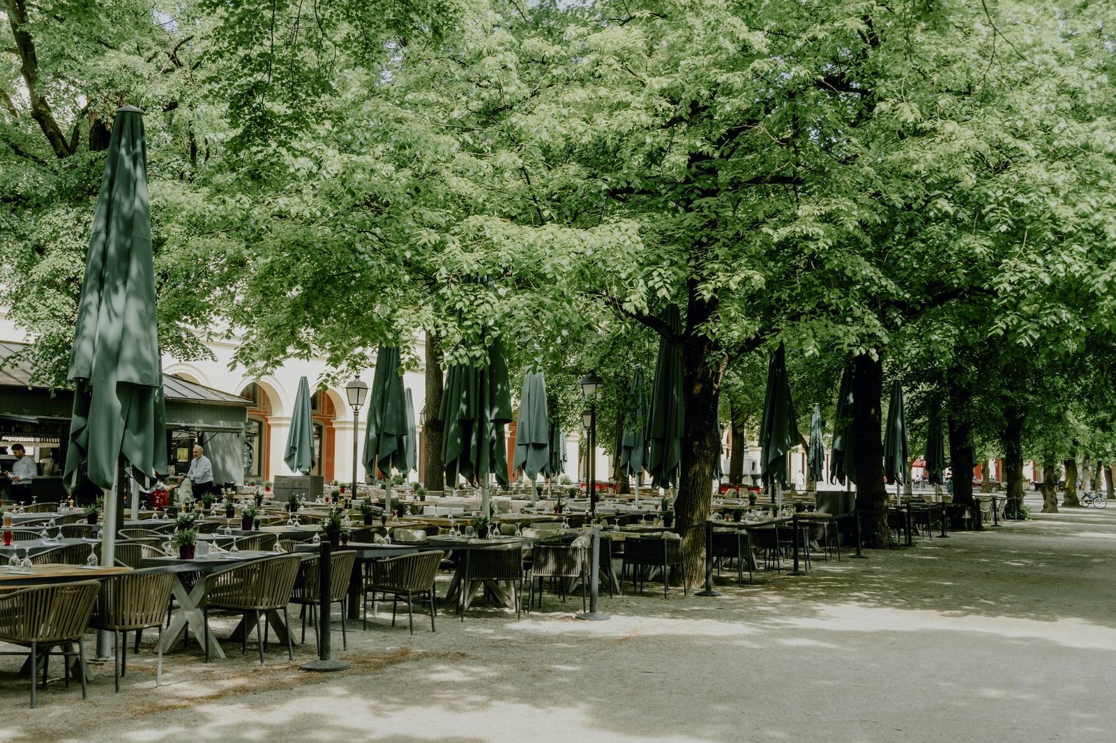 A tranquil outdoor cafe setting in Munich, Germany, shaded by lush green trees, perfect for summer relaxation.